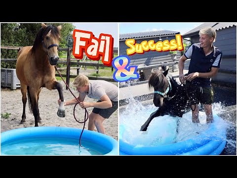 BUYING THREE POOLS FOR MY HORSES (CHAOS!!)