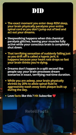 Your Body Paralyses You Every Single Night