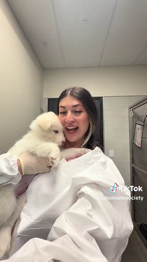 Husky Puppies Update: Adoption Day Approaches!