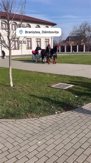 Videoclipuri postate de Gheorghe Petrut (@gheorghepetrut) cu Colinda Crăciunului - Colinde Românești