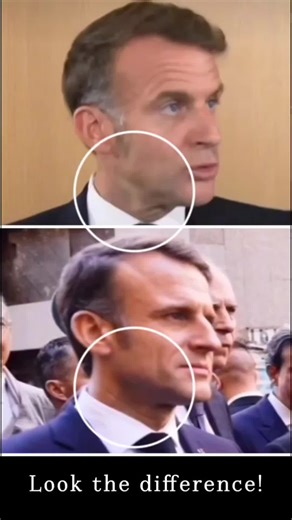 Explorando el mundo de los reptilianos y los extraterrestres