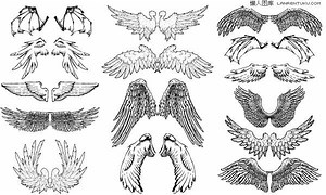 View 30 Fire Fairy Wings Drawing