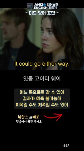 442 It could go either way 미드영어표현1