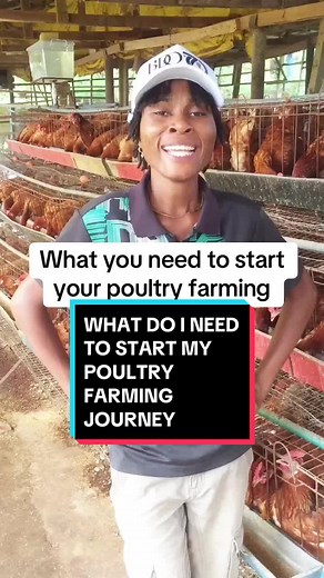 Essential Equipment for Starting Your Poultry Farming Journey