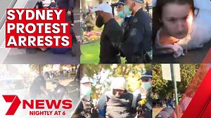 50K views · 667 reactions | Police are urging the community to...