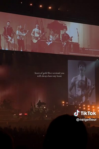 Shawn Mendes Live Concert Highlights in Cologne