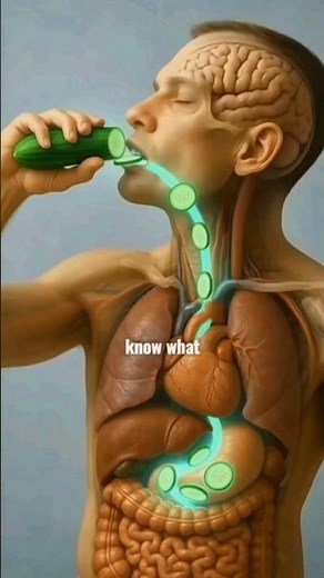 🥒 What Happens To Your Body When You Eat Cucumbers Every Day? ✨ #hydration #health #nutrition