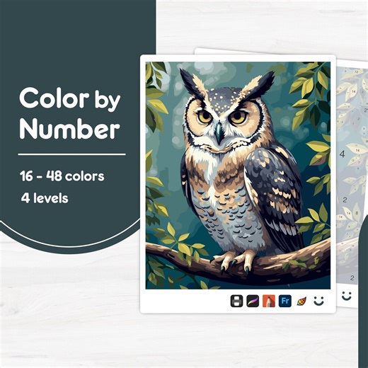 Owl on Tree Branch - Color by Number - Digital & Printable - 4 Levels - Etsy