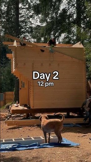 With no construction experience they built a 184.6 sq ft cabin themselves! #bunkie #diy #logcabin
