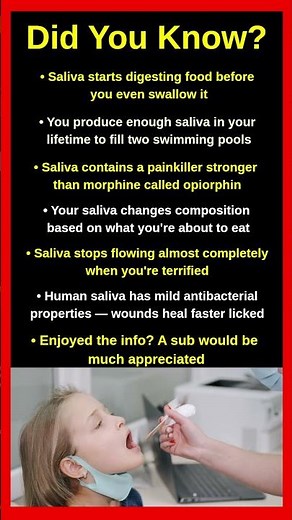 Mind-Blowing Facts About Your Saliva Nobody Tells You 💧🔬