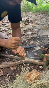 Making Fire by Rubbing Two branches | Fire Plough Technique #firebyfriction #fireploughtechnique #primitivelife #ancientfiremaking #woodonwood #survivalcraft #bushskills #outdoorheritage #rawsurvival #naturalfire | Kadek Dedik Supriatna
