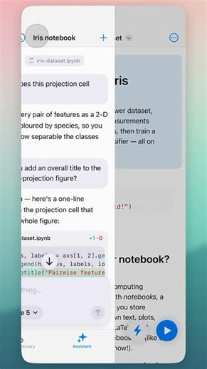 This is a real Python IDE. On iPhone. #Python #iPhone #coding #jupyter