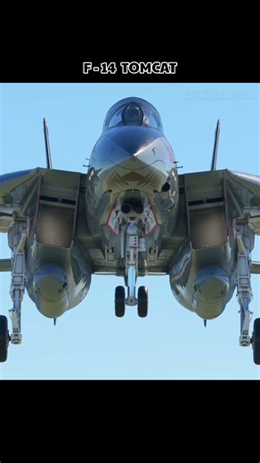 F-14 Tomcat Landing Gear Deployment #military #aviation