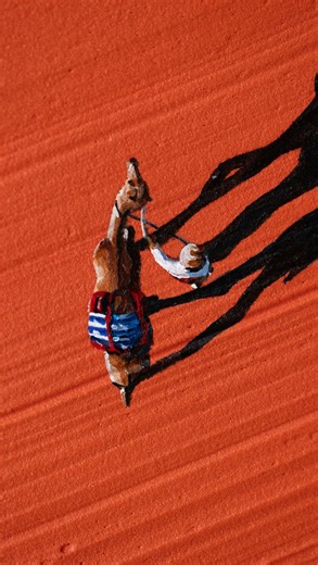 Werner Bronkhorst on Instagram: "‘Caravan Life’ is officially available to acquire via auction and ready for speedy delivery 🏎️"