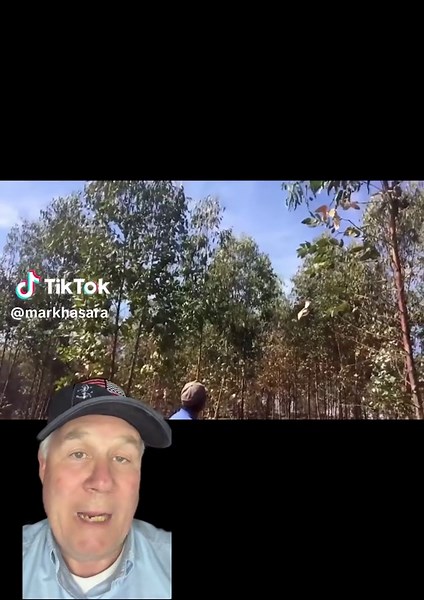 Impressive Aerial Firefighting with DC-10 and 747