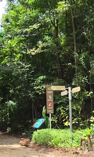 Afternoon Hiking at Imbiah Nature Trail