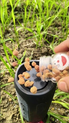 jbl essential flip 2 Sound Testing with and bass boosted #viral #shorts #super #sound ##love