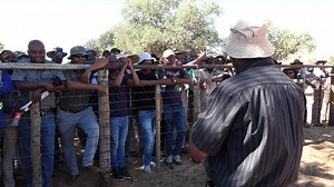 Bonsmara Information Sharing session at Taylor Span farm in Kgalagadi, Kagisano-Molopo Local Municipality to bring together interest farmers and to share intense insight Bonsmara breeding. | North West Department of Agriculture and Rural Development