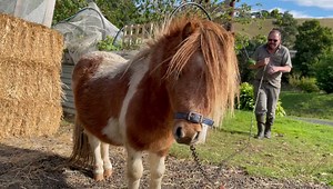 647K views · 230 shares | Storm (video 1) Yesterday’s 12 hour round...