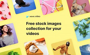 Free stock images collection for your videos | Wave.video