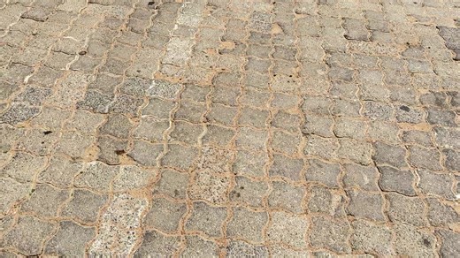 Exciting Moments from the ULCampus Wedding