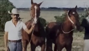Corrido a una gran leyenda 🐴🥃 | Carreras de Caballos en Cuba