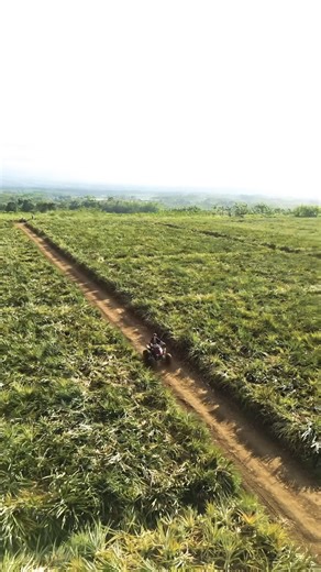 🏎️ Atv ride in #Bukidnon