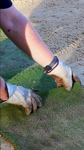 Faster Turf Installation: ALLSAW in Action #groundsmaintenance #landscaping #turfinstallation