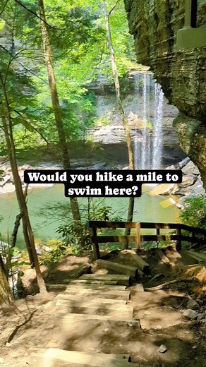 55K views · 525 reactions | Tennessee has some amazing waterfalls and swimming holes. Be sure to check out our waterfall map! https://huntsvilleadventurer.com/greeter-falls/ | Huntsville Adventurer | Facebook