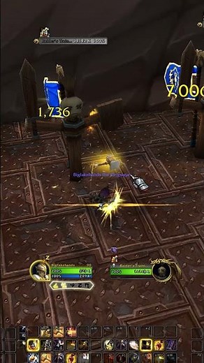 All About Prot Pally's APEX TALENT!