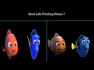 What If Finding Nemo Characters Were Real? | AI Transformation 🌊🐠✨
