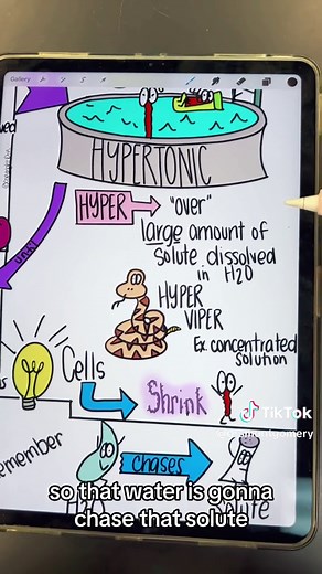 Understanding Hypertonic, Hypotonic, and Isotonic Solutions