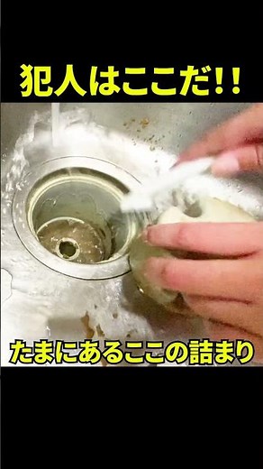 【たまにあるキッチン詰まりの原因】まずここを掃除！！@大阪#shorts [詰まり抜き][排水管高圧洗浄][台所排水溝油掃除]