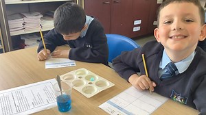 18 reactions | Miss Kelly’s P5 class have had a fantastic time developing their ecological skills while learning about minibeasts. They carried out experiments on spider digestion, hunted around the school for minibeasts and recreated minibeasts. Fantastic work everyone! | St Mary's Glenview | Facebook