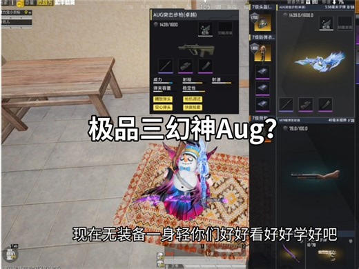 成功制裁极品四词条三幻神Aug。【和平精英PC模拟器】