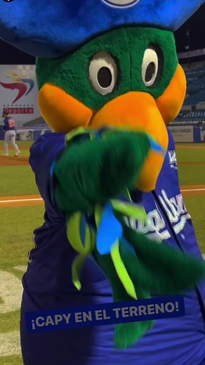 Capybara Dance Moments Captured