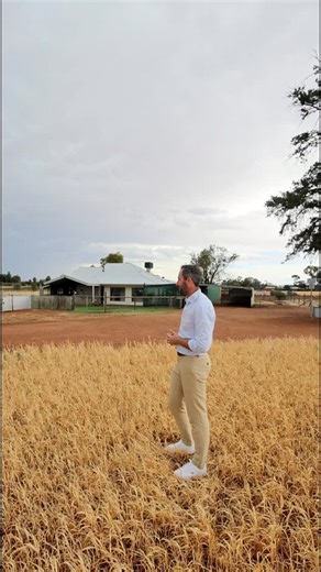 🏡𝗝𝘂𝘀𝘁 𝗟𝗶𝘀𝘁𝗲𝗱 27 Cassia St Red Cliffs The lifestyle property that feels like coming home. A private driveway, space for animals and hobbies, and a character-filled home with 3.3m ceilings, a renovated kitchen, two living zones and the kind of shed you never outgrow. This isn’t a farm… it’s the perfect amount of land to live freely, raise a family, and enjoy the peaceful rural lifestyle without the workload. If you’ve been waiting for space, privacy and a home that instantly feels right