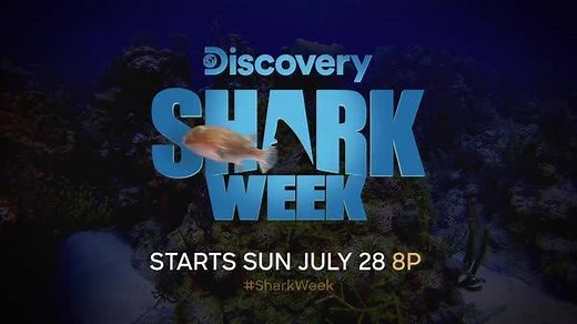 4.9M views · 14K shares | So good you’ll scream. 麗 Shark Week starts Sunday, July 28 on Discovery. | Shark Week | Facebook