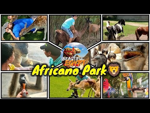 Africano Safari Park Egypt