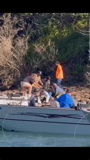 The biggest circus in the world Drano Lake fishery on the Columbia river. | Anthony Rubeo Outdoors