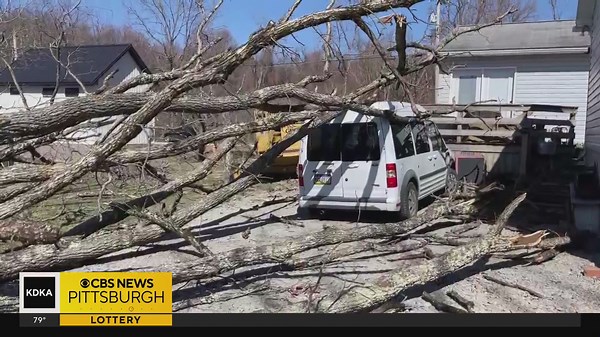 Straight line winds believed to be the cause of damage in Fayette County