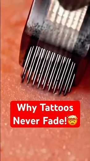 Why Do Tattoos Stay Forever?