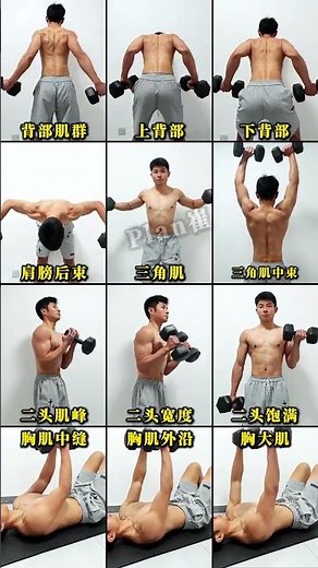 Beginner's Ultimate Home Workout Guide - Stay Fit Anywhere