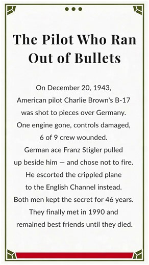 The Pilot Who Refused to Shoot | WW2's Most Unlikely Act of Honor #pilot #shorts