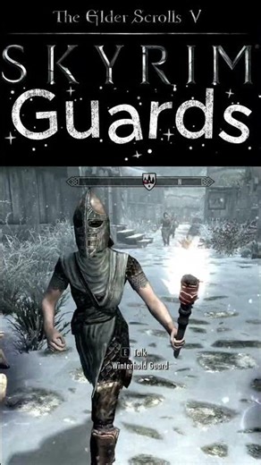 SKYRIM GUARDS IN A NUTSHELL!! #skyrim #guards #help