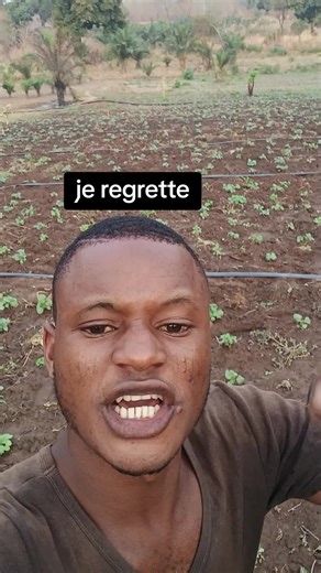 Production de gombo au Togo : Échecs et regrets