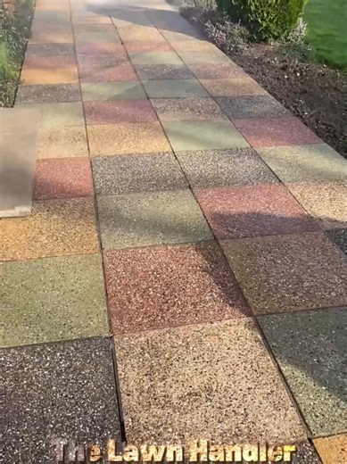 Ultimate Lawn Care and Pressure Washing Tips