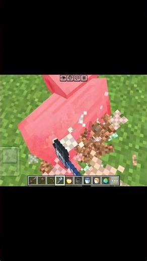 Trolling pig #minecraft