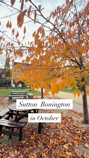 Sutton Bonington in October is a beautiful sight 😍🍂 #WeAreUoN | University of Nottingham