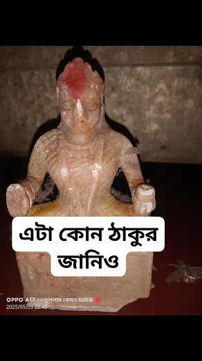 আমার তো মনেহয় অন্নপূর্ণা কিন্তু তোমরাই বলো🫥❤️🙏🏻🐦 | Surya Roy